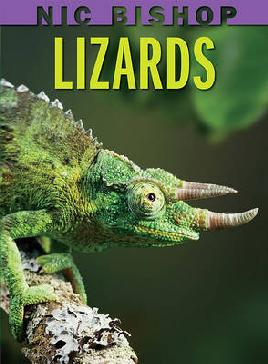Cover: Lizards