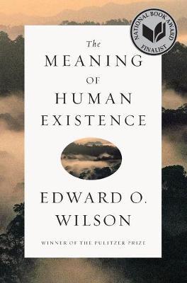 Book cover: The meaning of human existence