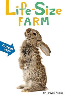 Cover of Life-Size Farm